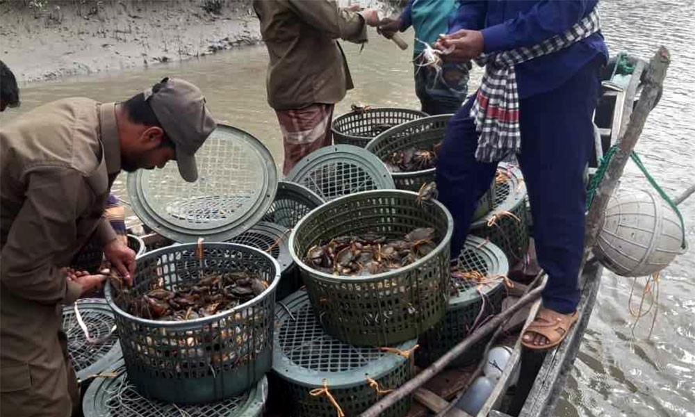 সাতক্ষীরায় কাঁকড়াসহ জেলে আটক