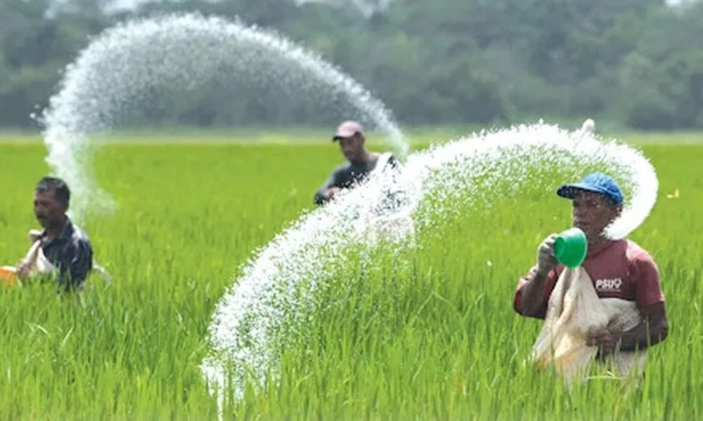 Bangladesh to import 180000 tons of fertilizer from Russia